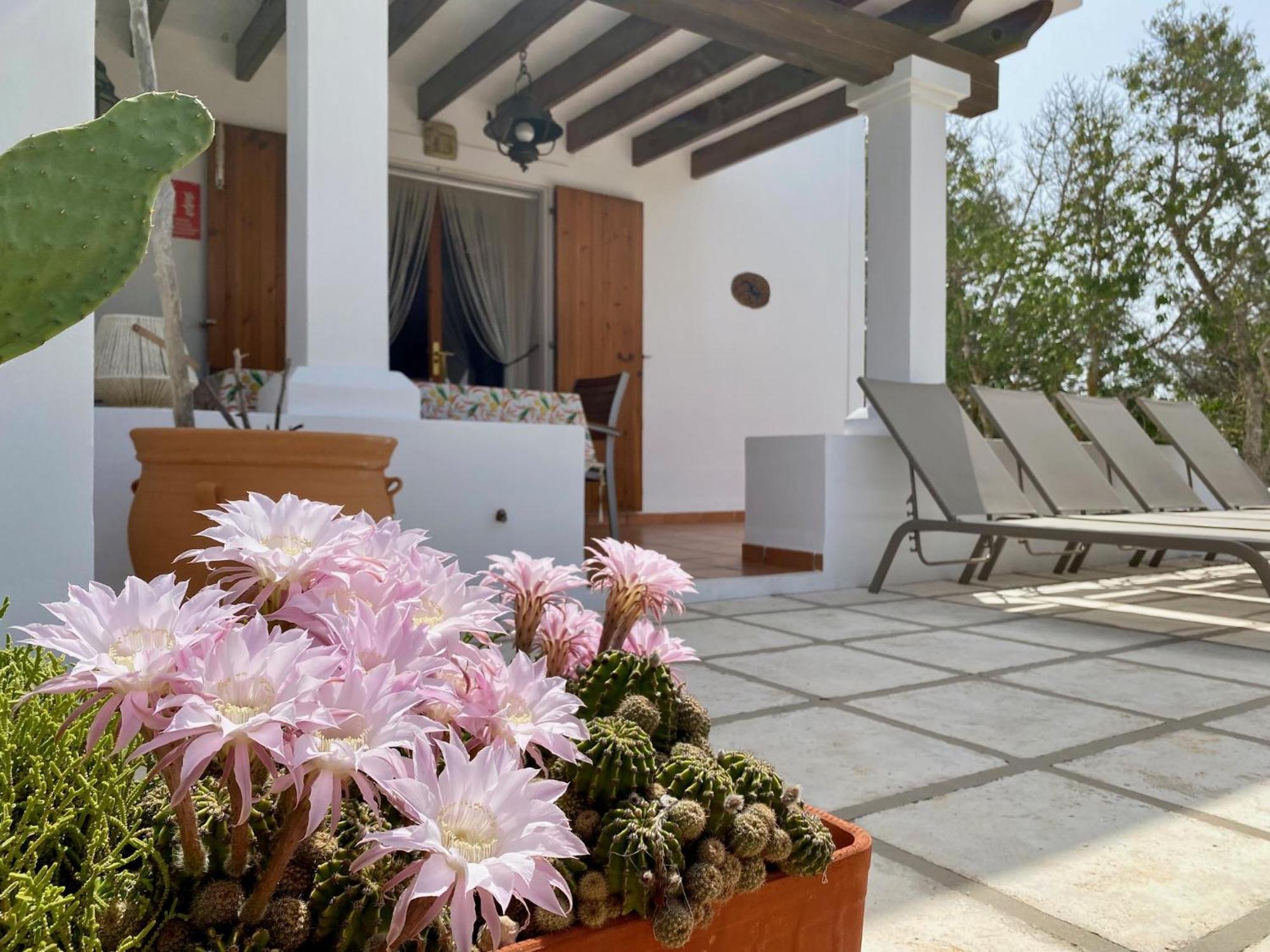 Ses Oliveres Cala Saona Extérieur photo
