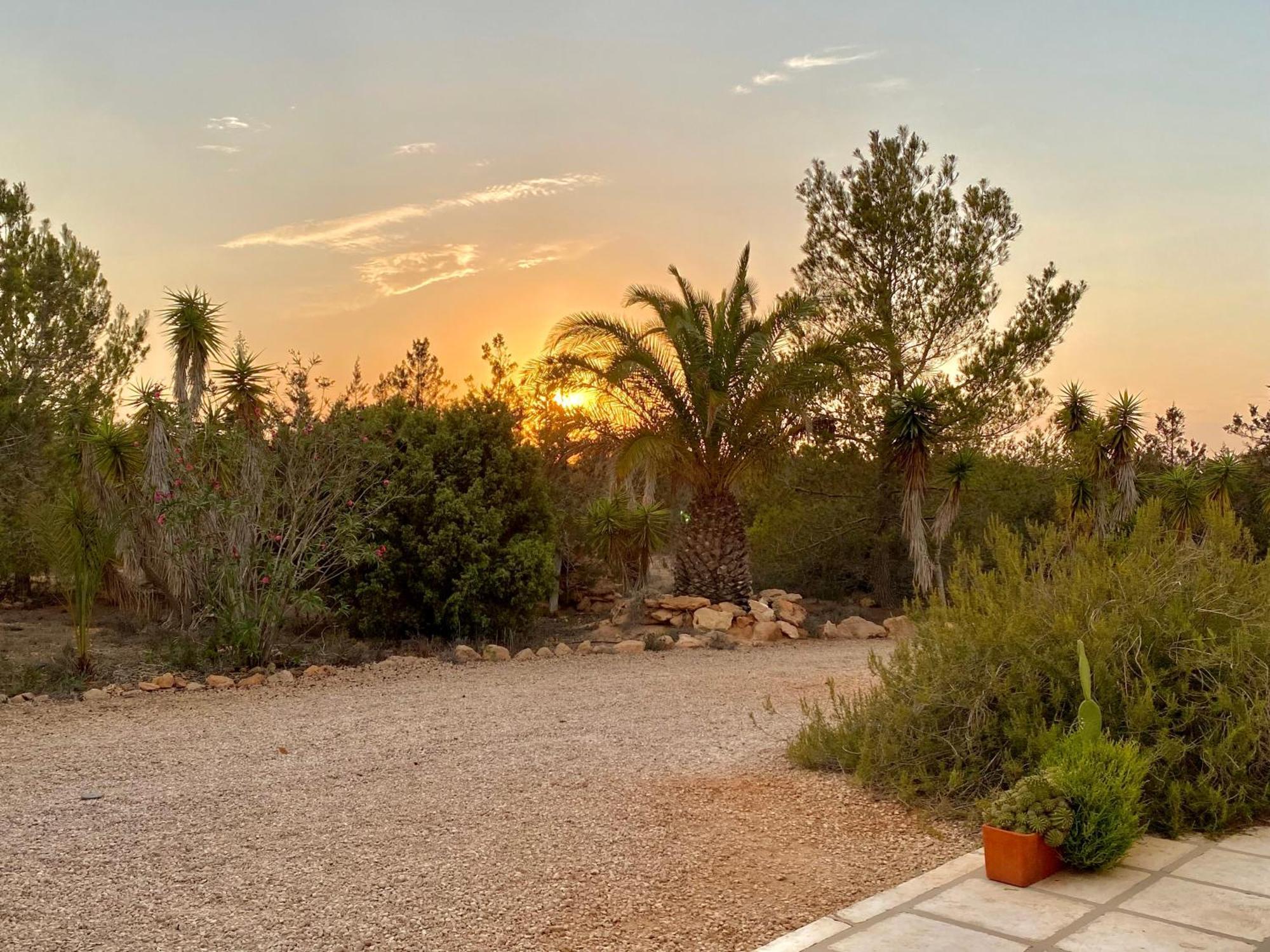 Villa Ses Oliveres à Cala Saona Extérieur photo